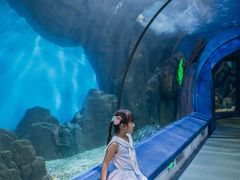 -福州罗源湾海洋世界旅游区