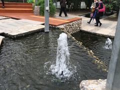 -上海多利农业发展有限公司