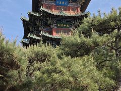 -迎泽公园