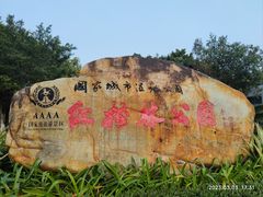 -大亚湾红树林城市湿地公园
