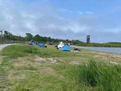 -春花秋色城市公园