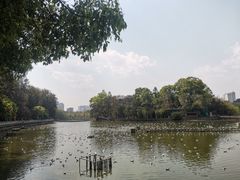 -翠湖宾馆·中餐厅