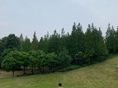 -成都保利公园皇冠假日酒店(熊猫基地店)