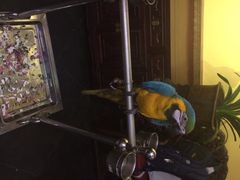 那家小馆(中关村店)-那家小馆•北京菜•烤鸭(中关村店)