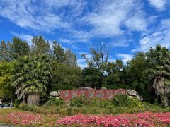 -洱海月湿地公园