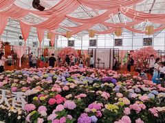 -盈香心动乐园