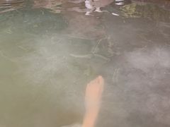 -万象温泉景区