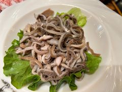 -额尔敦草原涮羊肉·烧烤(冻青树总店)