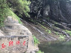 -望天鹅景区