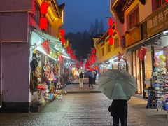 -九华山聚龙大酒店