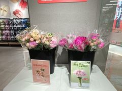 -鹿岛生活(熙地港店)