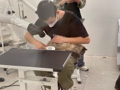 -comecome来吧宠物(奥克斯中心店)