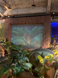 -恐龙探索乐园(磁器口店)