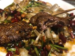 -小俩口烧烤东北菜(双井店)