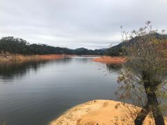 -广州市流溪河国家森林公园