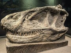 -自贡恐龙博物馆