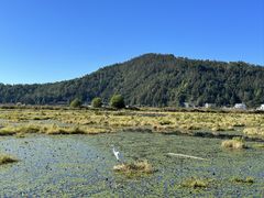 -腾冲北海湿地