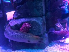 -沈阳海洋探索中心