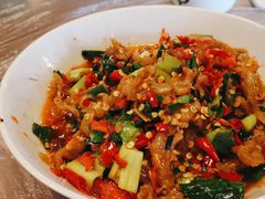 鸭掌筋-壹盏灯(惠农店)