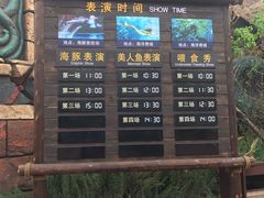 -哈尔滨波塞冬海底世界