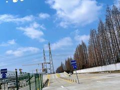 -光明驾校·学车·陪驾(杨浦店)