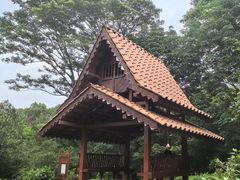-东莞植物园