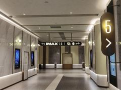 -英皇电影城(平安金融中心IMAX激光店)