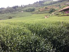 -优游吧斯邹族文化部落