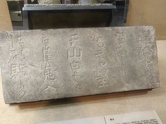-烟台市博物馆