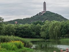 -北坞公园
