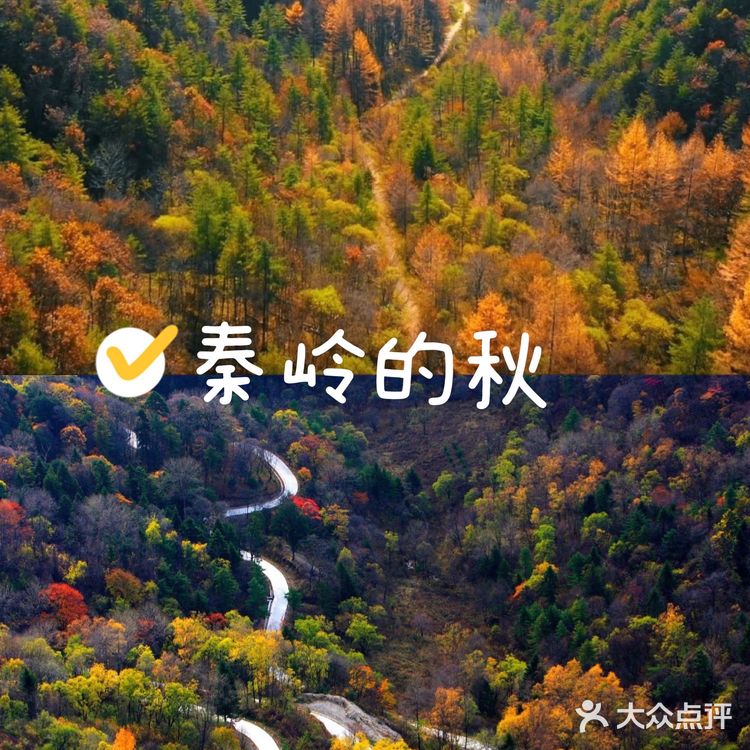 秦岭赏秋 | 这个十一假期,去看秦岭漫山红叶❗
