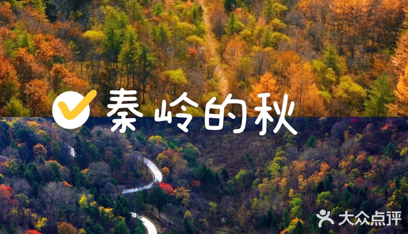 秦岭赏秋 | 这个十一假期,去看秦岭漫山红叶❗