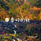 秦岭赏秋 | 这个十一假期,去看秦岭漫山红叶❗