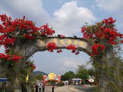 -天适樱花悠乐园