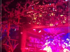 -周庄红庭演艺酒吧