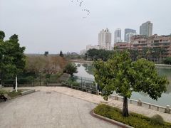 远眺-白鹭洲公园