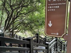 -白马涧龙池景区