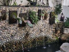 -茶米人台湾料理·精致快简餐
