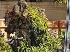 -海韵人家.海景花园经典云南菜(双廊店)