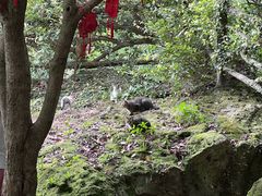 -雁荡山风景名胜区
