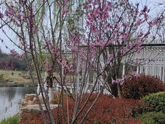-大蜀山国家森林公园