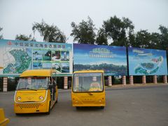 -北海金海湾红树林生态旅游区