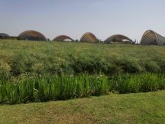 -中国天府农业博览园