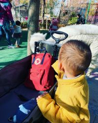 -萌宠亲子动物乐园(槐房万达店)