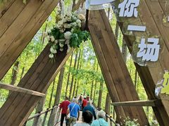 -黄海国家森林公园