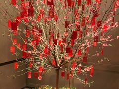 -佘山世茂艾美·御珍轩中餐厅