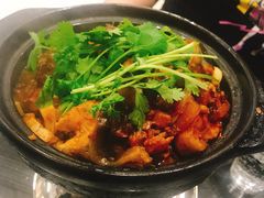 麻辣鲶鱼煲-川香煲(茅台路店)