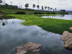 -那考河湿地公园