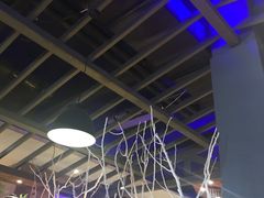 大堂-辣猫龙虾(马泉营店)