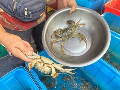 -阳澄湖半岛旅游度假区